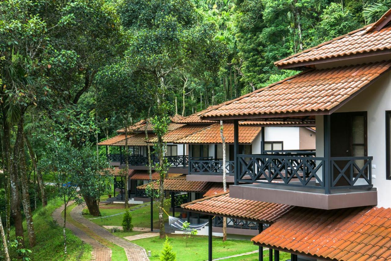 The Serenity Resort Tariyod Exteriér fotografie